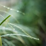 The role of prayer in our leadership